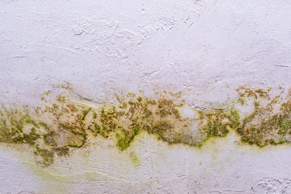 home water damage