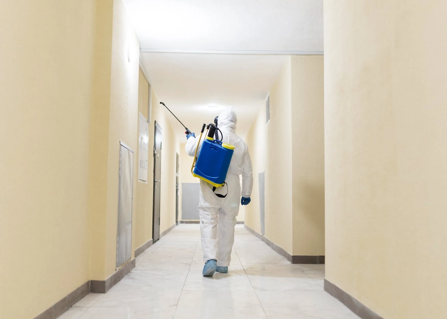 Building Pest Inspection Rockhampton