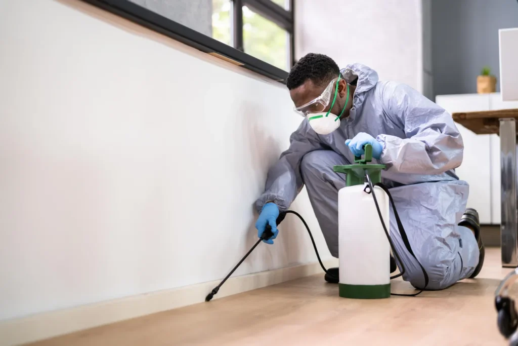 Building Pest Inspection Rockhampton 28-07-25
