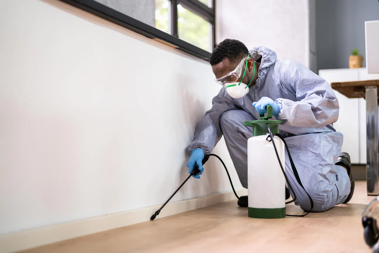 Building Pest Inspection Rockhampton 28-07-25