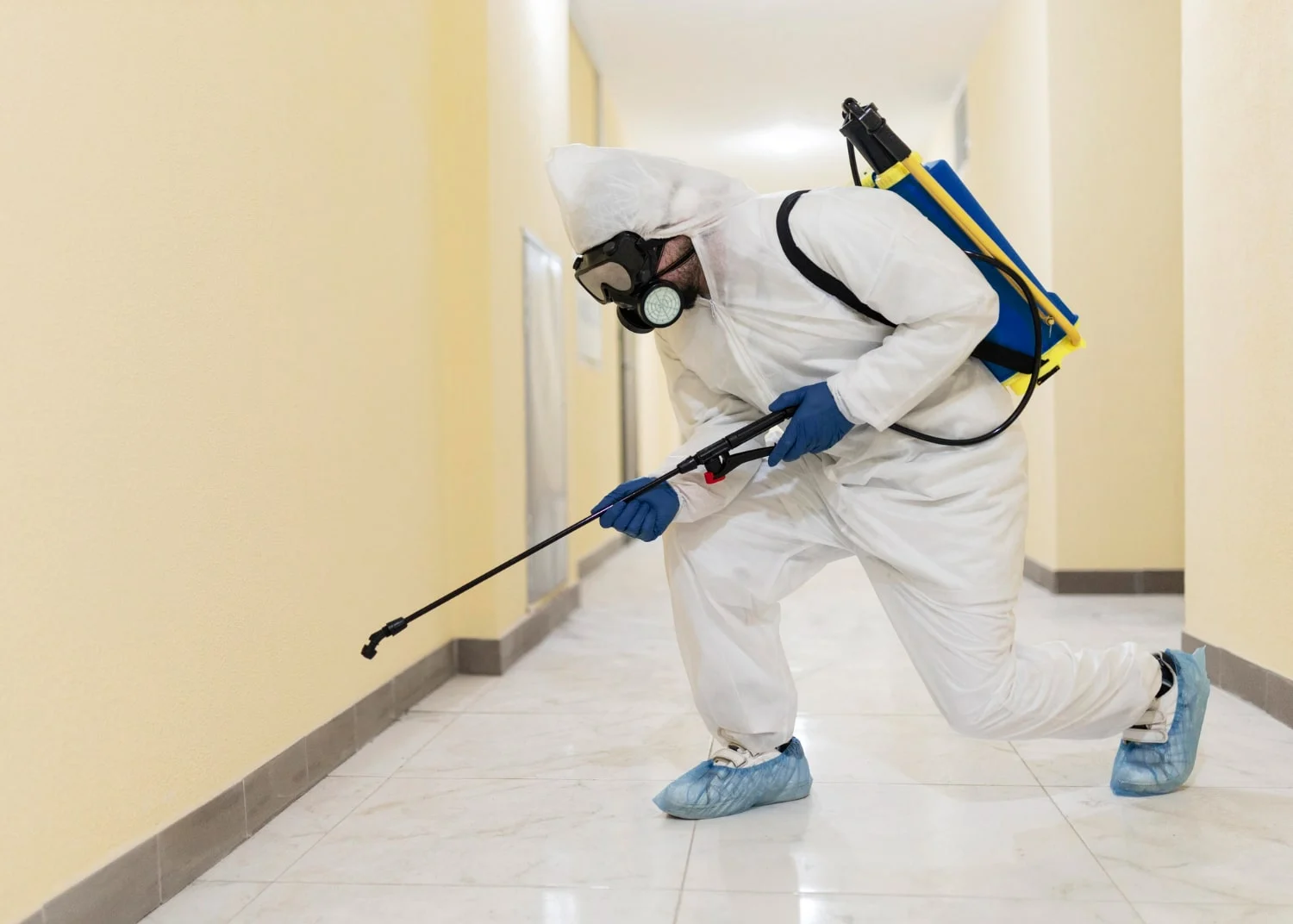 Building Pest Inspection Rockhampton