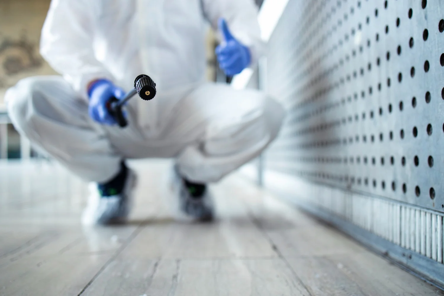 benefits of pest control inspection Rockhampton