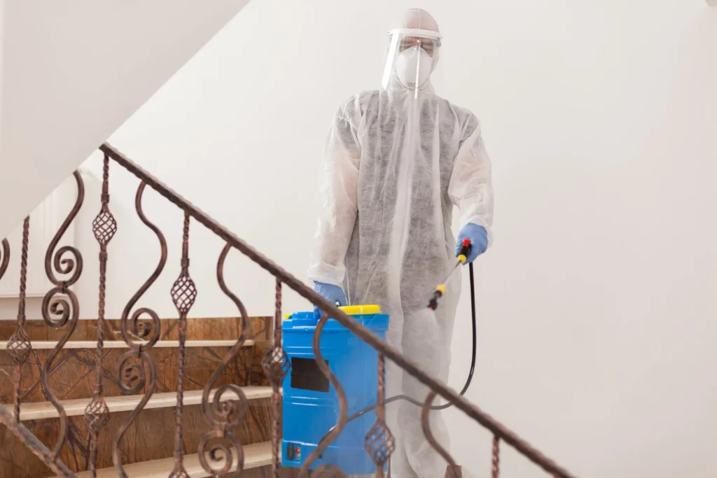expert mould house inspection advice rockhampton